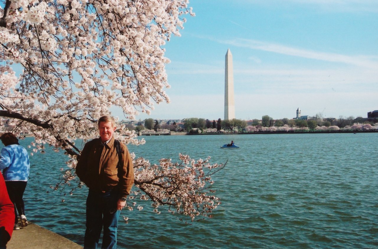 A and M DC walkabout cherry blossom 8